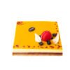 ENTREMETS PASSION